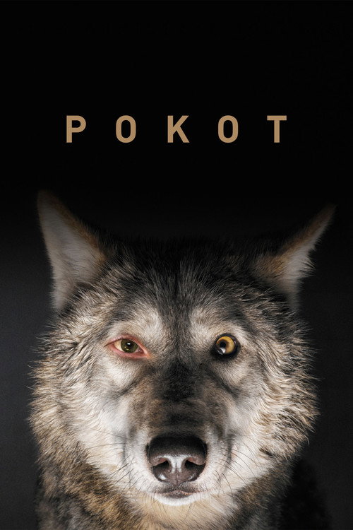 Plakat for Spoor